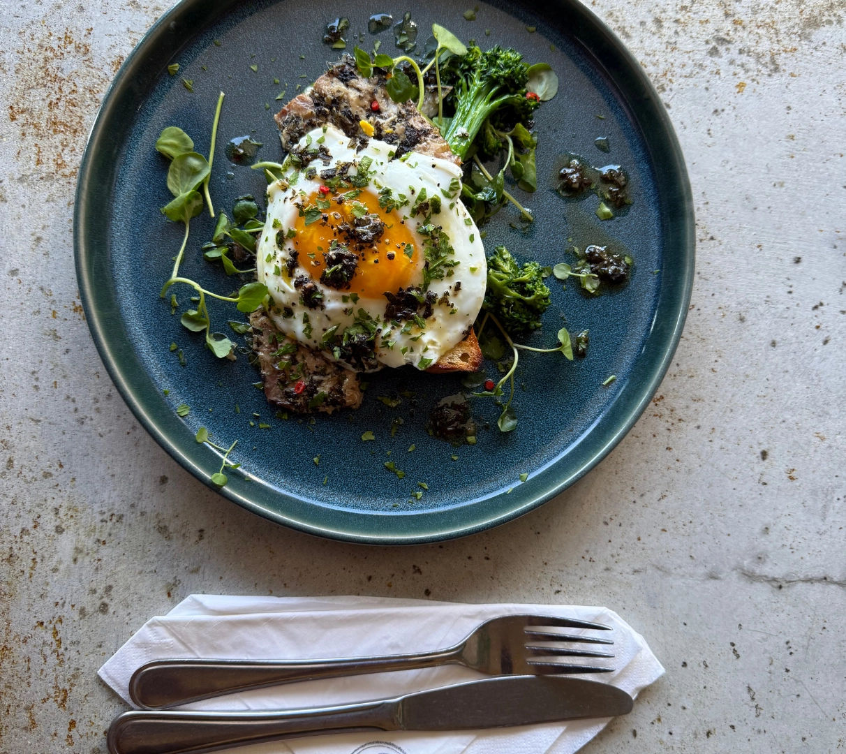 Food BS 12